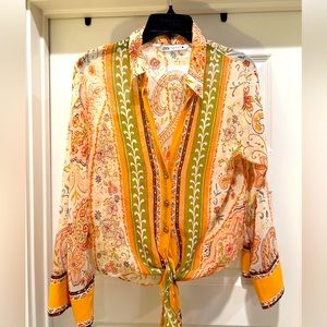 ZARA semi sheer paisley multi color top
